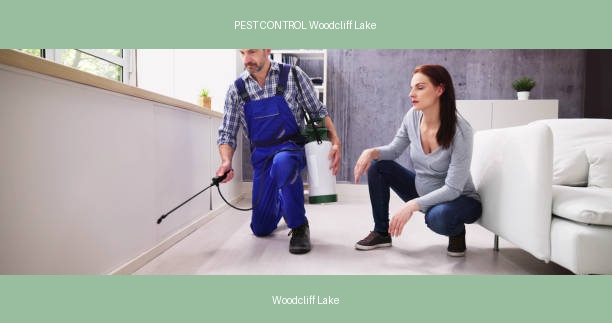PEST CONTROL Woodcliff Lake